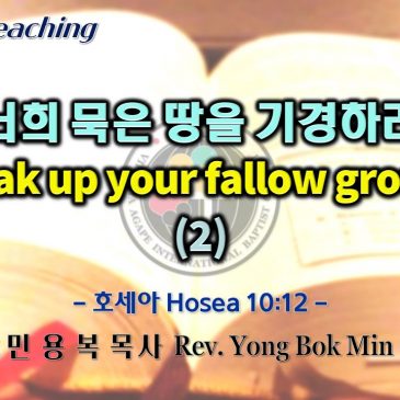 0828 2022 너희 묵은 땅을 기경하라 Break up your fallow ground (2)