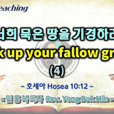0911 2022 너희 묵은 땅을 기경하라 Break up your fallow ground (4)