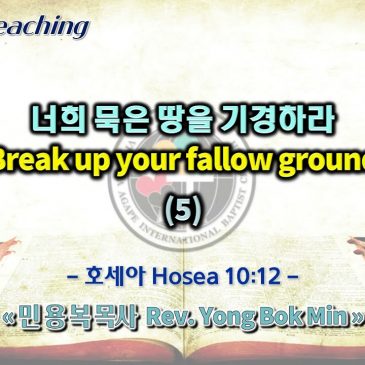 1002 2022 너희 묵은 땅을 기경하라 Break up your fallow ground (5)